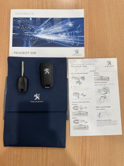 Peugeot / 308 SW HDI 130cv Allure lleno