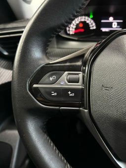 Peugeot / 2008  100cv lleno