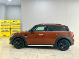 Mini / Countryman One D lleno