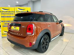 Mini / Countryman One D lleno