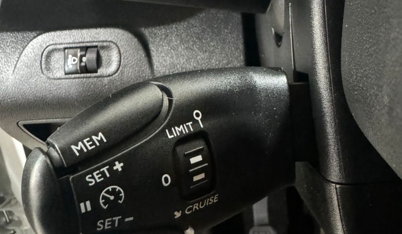 Peugeot / Rifter  HDI 100cv lleno