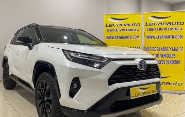 Toyota / RAV4 220H STYLE
